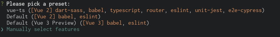 _images/vue-init.png